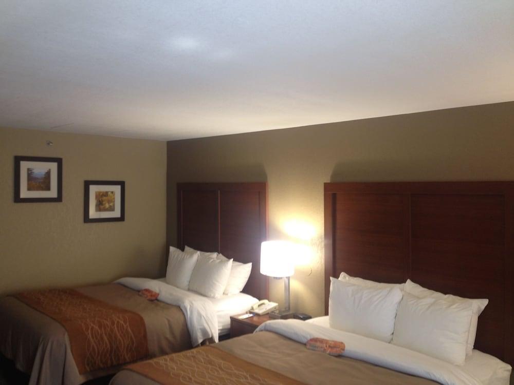 Comfort Inn Biltmore West Asheville Zewnętrze zdjęcie